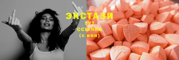 ECSTASY Гусь-Хрустальный